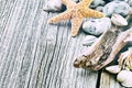 Marine background with pebbles and starfish