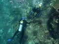 Marine biologist checking coral reef.