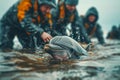 Marine Biologists Helping Beached Dolphin.