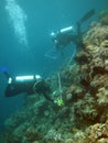 Marine biologists surveying the reef Royalty Free Stock Photo