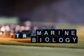 MARINE BIOLOGY concept wooden blocks on the table.