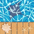 Marine color background with manta, starfish and seashell. Summer vector background.