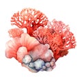 Marine colourfull coral reef watercolor illustration, marine animals clipart