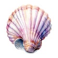 Marine colourfull sea shell watercolor illustration, marine animals clipart