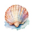 Marine colourfull sea shell watercolor illustration, marine animals clipart