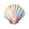 Marine colourfull sea shell watercolor illustration, marine animals clipart