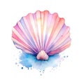 Marine colourfull sea shell watercolor illustration, marine animals clipart