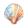 Marine colourfull sea shell watercolor illustration, marine animals clipart