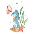 Marine composition of cute seahorse, seaweeds, red starfish, seashells, orange net and water bubbles. Watercolor hand