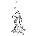 Marine Composition of cute Seahorse, Starfish and Seashell. Hand drawn Vector isolated illustration. Graphic summer Sea Royalty Free Stock Photo