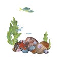 Marine composition, frame, template on a white background. Sea stones, algae, starfish, fish, shells. Watercolor Royalty Free Stock Photo