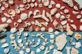 Marine composition with sea shells Royalty Free Stock Photo