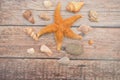 Marine composition seashells marine starfish on wooden background