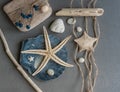 Marine composition with shells, starfish and pebbles.