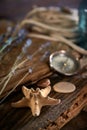 A marine concept with a bottle, starfish, seashells, rope, compass and paper scroll, pirate still life