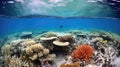 marine coral reef bleaching