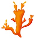 Marine coral reef nature plant. Cartoon icon