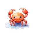 Marine crab watercolor illustration, marine animals clipart