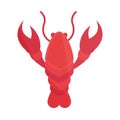 Marine crustacean seafood lobster flat icon design