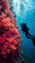 Marine exploration Diver swimming among fish and red coral reef