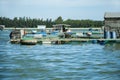 Marine fish farm in Vietnam. Floating houses Royalty Free Stock Photo