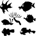 Marine fish Royalty Free Stock Photo