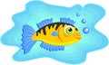 Marine fish swimming Royalty Free Stock Photo