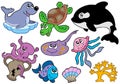 Marine fishes and animals collection Royalty Free Stock Photo