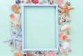 Marine frame with seashells and starfishes Royalty Free Stock Photo