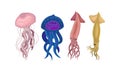 Marine Habitant with Umbrella-shaped Jellyfish and Squid Vector Set