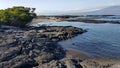 Marine Iguanas basking in the sun on black stones, Fernandina, Galapagos Royalty Free Stock Photo