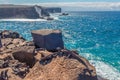 Marine Iguanas, Punta Suarez, Espanola Island, Galapagos