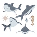 Marine illustrations set. Collection of Swimming sharks and isolated objects on white background. Vector