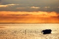 Marine landscape with boat, in France (Camargue)