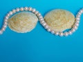 Marine layout. Pearl beads and two large shells on a blue background