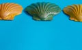 Marine layout. Three seashells painted orange, yellow, and green on a blue background