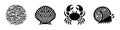 Marine Life Collection - Crab, Shell, Snail, and Fish Royalty Free Stock Photo