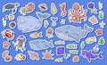 Marine life collection of sketche set. Sea animals. Sticker version Royalty Free Stock Photo