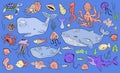 Marine life collection of sketche set. Sea animals. Sticker version Royalty Free Stock Photo