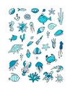 Marine life, collection of sketches for your design