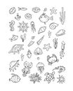 Marine life, collection of sketches for your design Royalty Free Stock Photo