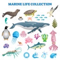 Marine life collection vector illustration. Sea and ocean wild fauna fishes