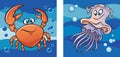 Marine life: crab and jellyfish