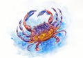 Marine life: crab, watercolour drawing.