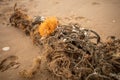 marine life endangerment from discarded fishing nets