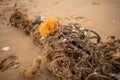 marine life endangerment from discarded fishing nets Royalty Free Stock Photo