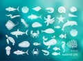 Marine life icons. Silhouettes of sea inhabitants on the Colorful background with defocused lights
