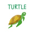 Cartoon style green sea turtle isolated on a white background Royalty Free Stock Photo