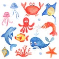 Marine life: octopus, jellyfish, stingray , seashell, coral, dolphin, fish, starfish. Seamless ca
