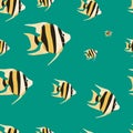 Marine life seamless pattern. Angel fish. Underwater inhabitants.